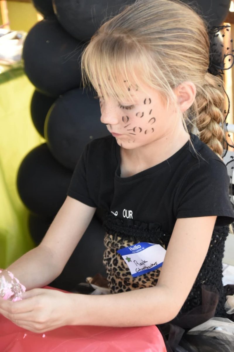 Camp VFAB and community event photo 34